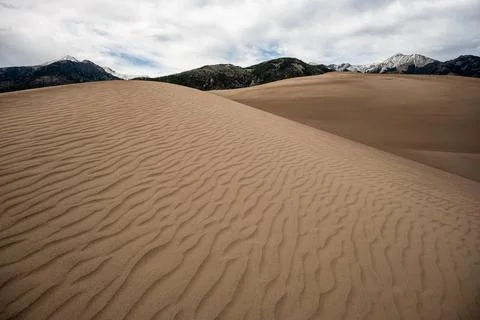 Ripples Over the Surface of Brown Dune in Great Sand Dunes Foto stock
