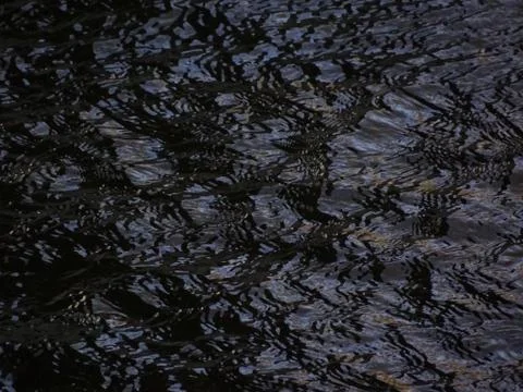 Ripples Stock Photos