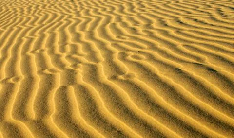 Ripples Stock Photos