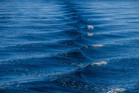 Ripples Stock Photos