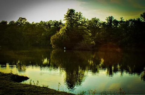 Ripples Stock Photos