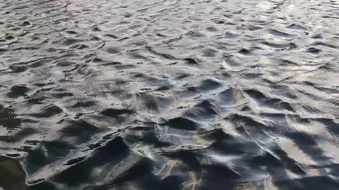 Ripples in the pond during the day. Effect texture Stock Footage 310080677