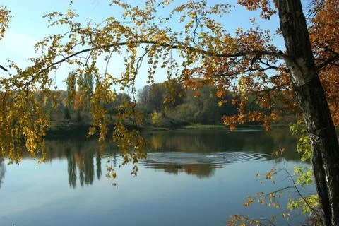 The ripples of the pond in the fall Stock Photos