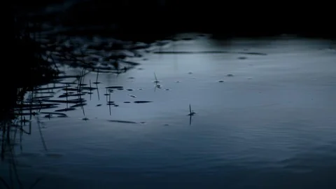 Ripples on a pond Stock Footage 94883506