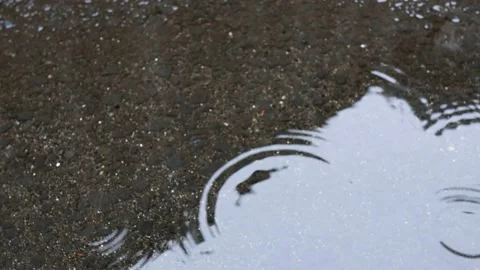 Ripples of rain falling in a puddle Part 2 Stock Footage 242758801