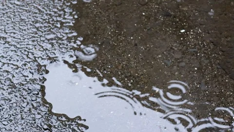Ripples of rain falling in puddles Stock Footage 242758784