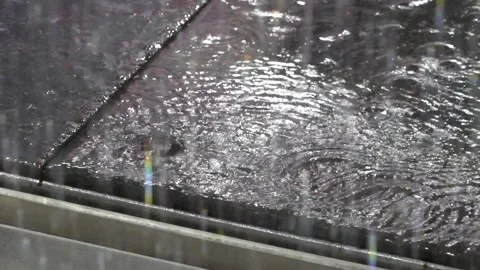 Ripples in the rain Stock Footage 292759542