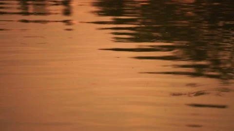 Ripples reflected on the water surface.orange reflection on water evening sun Video stock 197416915