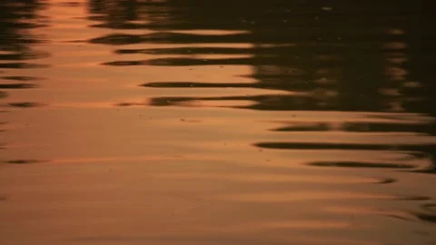 Ripples reflected on the water surface.orange reflection on water evening sun 스톡 동영상 197417321