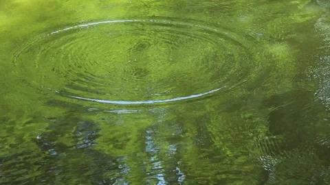 Ripples Reflecting Greenery Vidéo 332549974