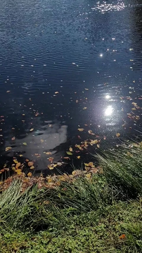 Ripples an reflection on the water Video stock 320943453