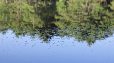 Ripples in reflections on water Stock Footage 11185798