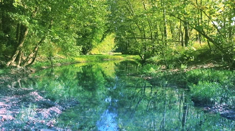 Ripples on a reflective pond No.2 Stock Footage 45402468