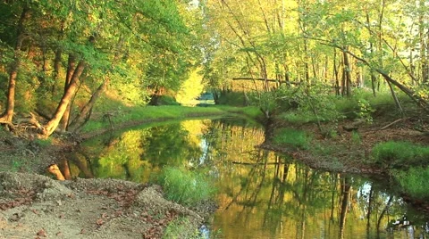 Ripples on a reflective pond No.4 Stock Footage 45423202