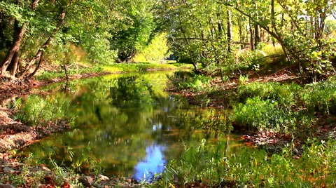 Ripples on a reflective pond No.5 Vidéo 45414814
