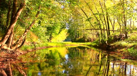 Ripples on a reflective pond No.6 Video stock 45406787