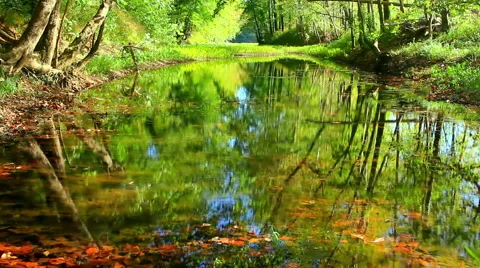 Ripples on a reflective pond No.7 Stock Footage 45409039