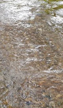 Ripples in the river flow through many stones, colorful summer to bright sun. Stock Photos