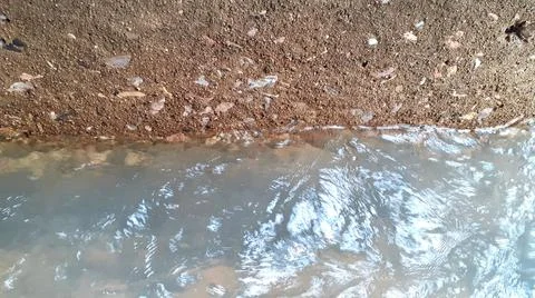 Ripples in the river flow through many stones, colorful summer to bright sun. Foto stock