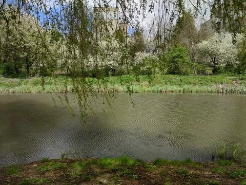 Ripples on the river Stock Photos