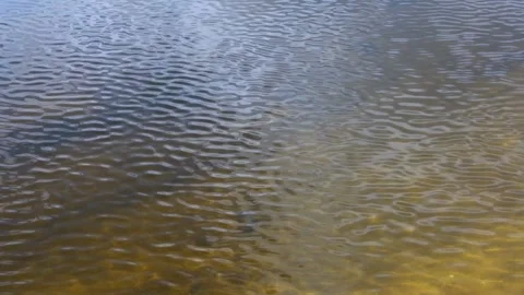 Ripples on a river surface transitioning from grey-blue to golden-brown Video stock 332735572