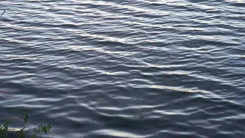 The ripples of the river water Stock Footage 76140628