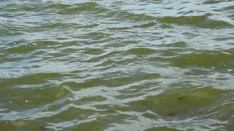 The ripples of the river water Stock Footage 76166136
