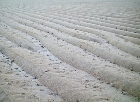 Ripples in the sand Stock Photos