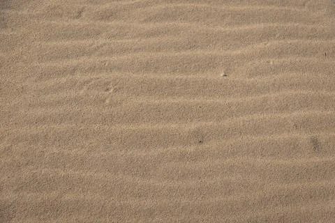 Ripples in the sand 写真素材