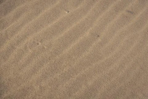 Ripples in the sand 스톡 사진
