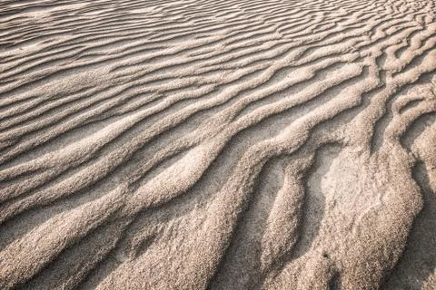 Ripples of sand, textured background Stock Photos