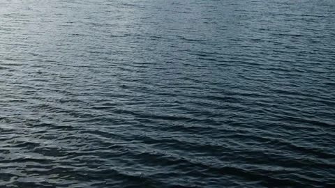 Ripples of Serenity: The Shimmering Surface of a Peaceful Reservoir Stock Footage 331339843