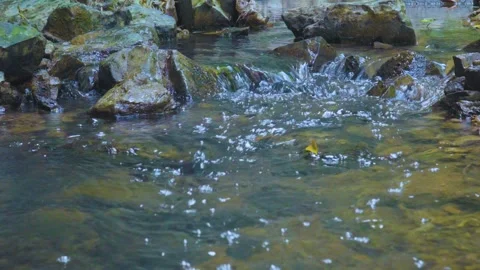 Ripples of Serenity: A Stream's Dance Over Pebbles Stock Footage 282723827