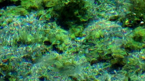 Ripples in shallow emerald stream Stock Footage 86910500