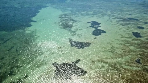 Ripples in the shallows Stock Footage 90057648