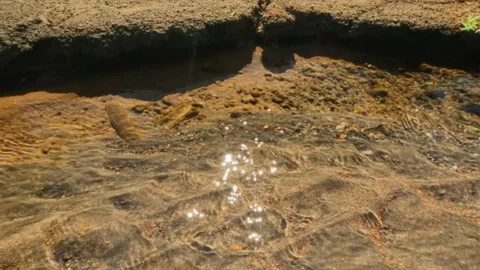 The ripples of a small clear river in the mountains Stock Footage 320921360