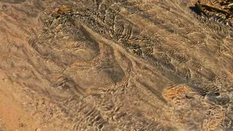 The ripples of a small clear river in the mountains Stock Footage 320921406