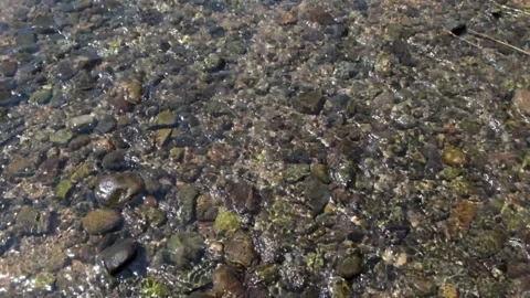 Ripples of sparkling clear river water with abstract texture Video stock 297631419