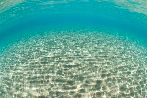Ripples of sunlight reflected on the sandy ocean floor in clear, shallow wate Stock Photos