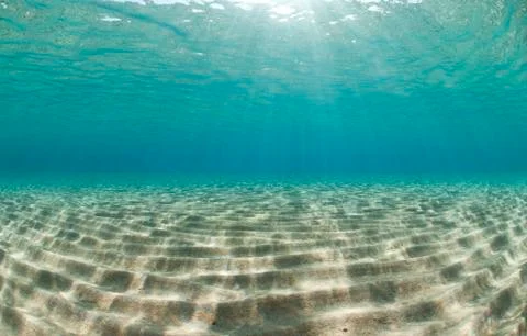 Ripples of sunlight reflected on the sandy ocean floor in clear, shallow wate 库存照片