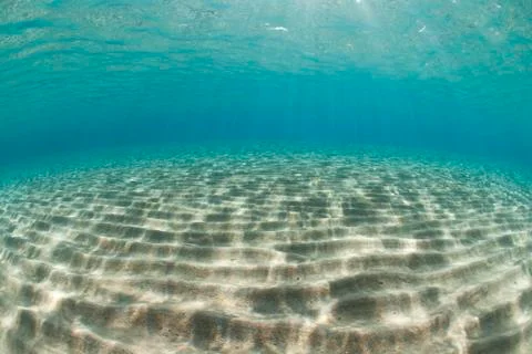 Ripples of sunlight reflected on the sandy ocean floor in clear, shallow wate 库存照片