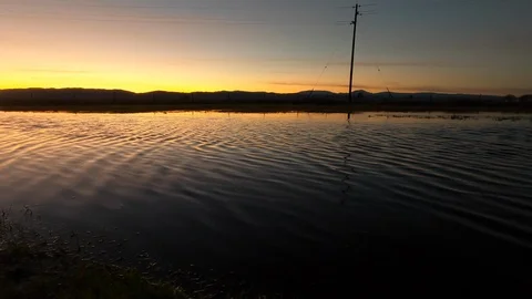 Ripples at Sunset 動画素材 122108702
