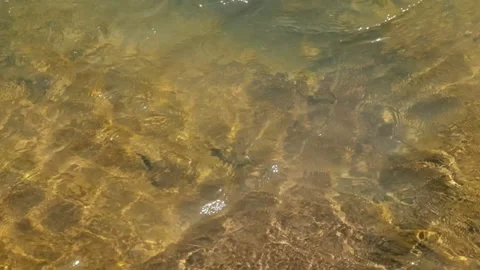 Ripples on the surface of clear river water Stock Footage 336843564