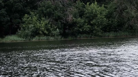 Ripples on the surface of a pond against the background of a forest Stock Footage 157313665