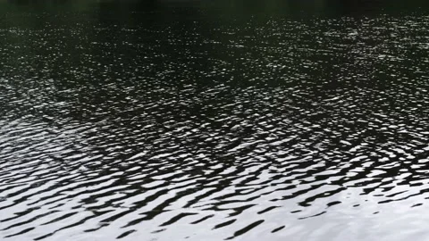 Ripples on the surface of a pond, river, reservoir. Stock Footage