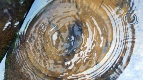 Ripples in the Surface of a Puddle on a Rainy Day. Stock Photos