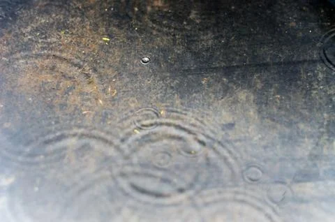 Ripples in the Surface of a Puddle on a Rainy Day. Stock Photos