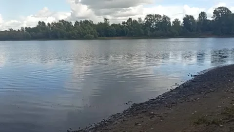 Ripples on the surface of a river bed with sandy banks 스톡 동영상 328886004