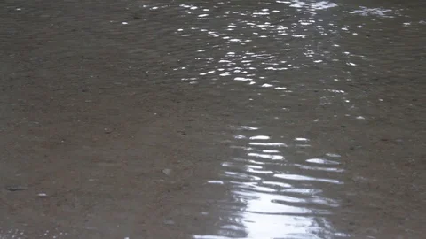 Ripples on the surface of a sand-bottomed river 動画素材 104310134