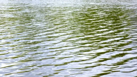 Ripples on the surface of the water. Dynamic video substrate, screen saver. Stock Footage 154189869